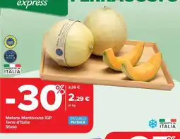 Carrefour Melone Mantovano IGP Terre d’Italia Sfuso offerta