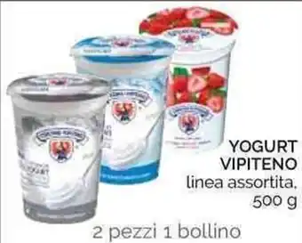 Conad Vipiteno Yogurt 500g offerta
