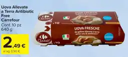 Carrefour Market Uova Allevate a Terra Antibiotic Free Carrefour offerta