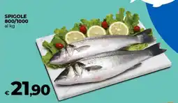 Coop SPIGOLE 800/1000 offerta