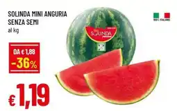 A&O Solinda mini anguria senza semi offerta