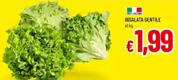A&O Insalata gentile offerta