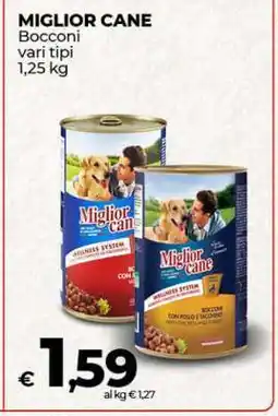 Coop Miglior Cane offerta