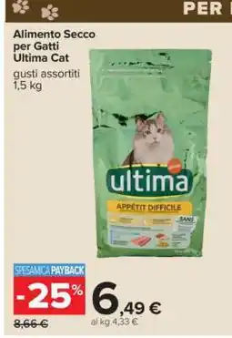 Carrefour Alimento Secco per Gatti Ultima Cat offerta
