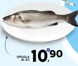 Extra Supermercati Spigola offerta