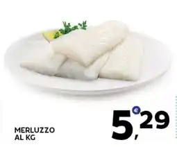 Extra Supermercati Merluzzo offerta