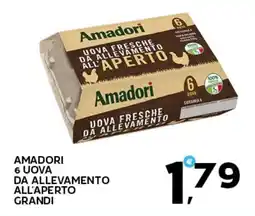 Extra Supermercati Amadori 6 uova da allevamento all'aperto grandi offerta