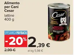 Carrefour Alimento per Cani Cesar lattine offerta