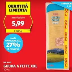 ALDI MILSANI Gouda a fette xxl offerta