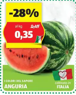 ALDI I colori del sapore ANGURIA offerta
