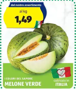 ALDI I colori del sapore melone verde offerta
