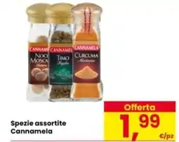 Eurospar Spezie assortite Cannamela offerta