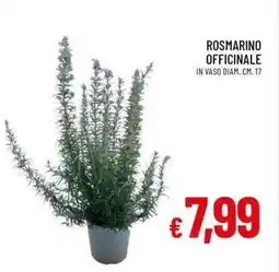 Famila Rosmarino Officinale offerta