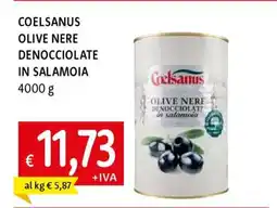 Famila COELSANUS OLIVE NERE DENOCCIOLATE IN SALAMOIA offerta