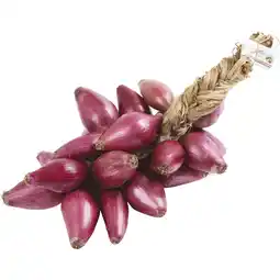 Coop CIPOLLA DI TROPEA FIOR FIORE offerta