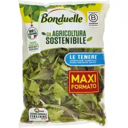Coop INSALATE MAXI FORMATO BONDUELLE offerta