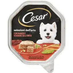 Coop ALIMENTO UMIDO PER CANI CESAR offerta