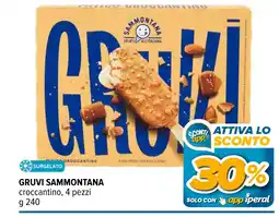 Iperal GRUVI Sammontana offerta