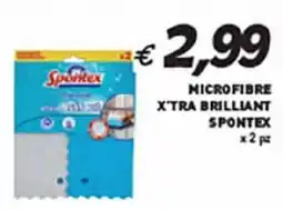 Coal Microfibre xtra brilliant SPONTEX x 2 pz offerta