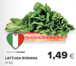 Oasi Lattuga romana offerta