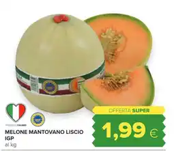 Oasi Melone mantovano liscio igp offerta