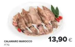 Oasi Calamaro marocco offerta