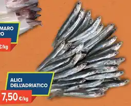 Sapore di Mare Alici dell'adriatico offerta