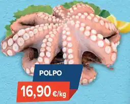 Sapore di Mare Polpo offerta