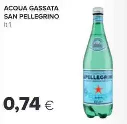 Oasi Acqua gassata SAN PELLEGRINO offerta