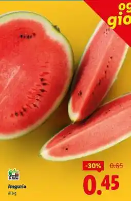 Lidl Anguria offerta