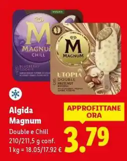 Lidl Algida Magnum offerta