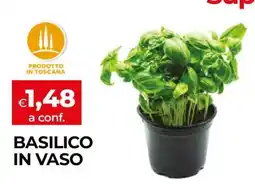 Coop BASILICO IN VASO offerta