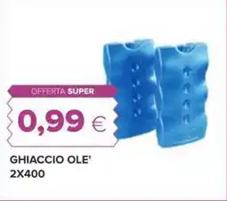 Oasi Ghiaccio ole’ 2x400 offerta