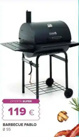 Oasi Barbecue pablo offerta