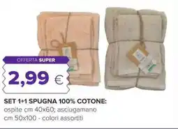 Oasi Set 1+1 spugna 100% cotone offerta