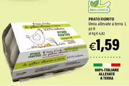 Hurrà PRATO FIORITO Uova allevate a terra L offerta