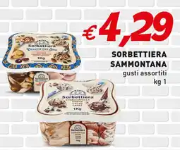 Supermercato Coal Sorbettiera SAMMONTANA offerta