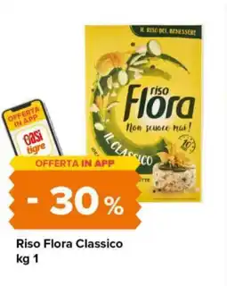 Tigre Riso Flora Classico offerta