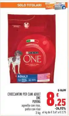 Conad CROCCANTINI PER CANI ADULT ONE offerta