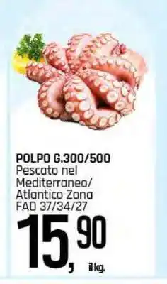 Famila POLPO G.300/500 offerta