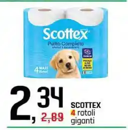 Famila SCOTTEX offerta