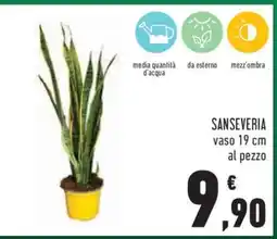 Conad Sanseveria offerta
