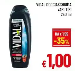 A&O Vidal docciaschiuma vari tipi offerta