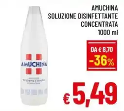 A&O Amuchina soluzione disinfettante concentrata offerta
