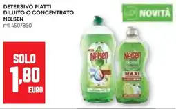 Pam Detersivo piatti diluito o concentrato NELSEN offerta