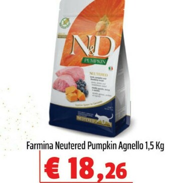 Cibo per cani
