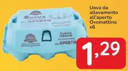 Famila Uova da allevamento all'aperto Ovomattino x6 offerta