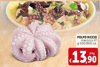 Deco Supermercati Polpo riccio marocco t7 offerta