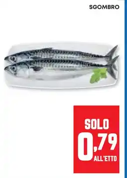 Pam Sgombro offerta