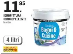 Brico OK Idropittura idrorepellente offerta